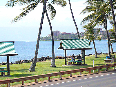 hawaii-0733.jpg