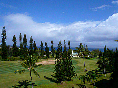 hawaii-0831.jpg