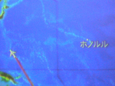 nza-652.jpg