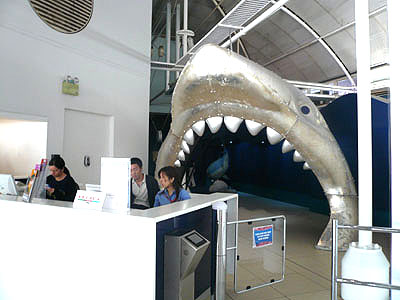 sas-752.jpg