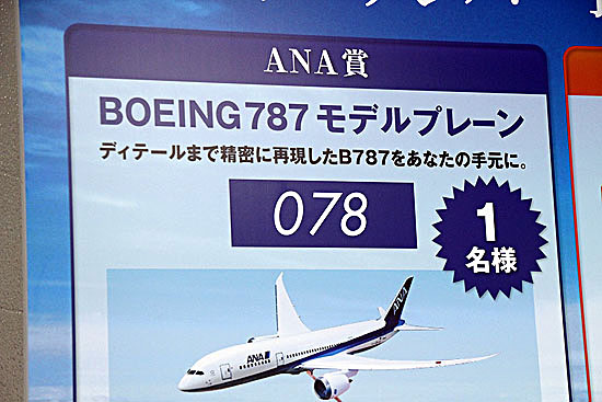 787-300.jpg