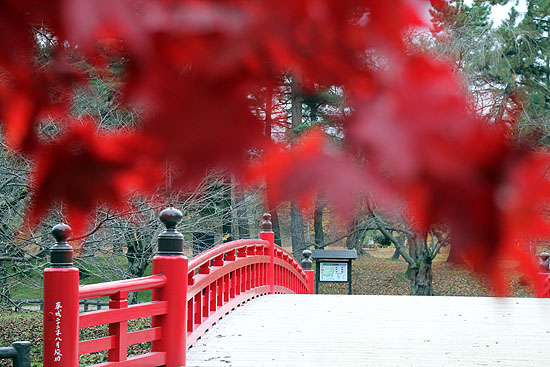 aomori-193.jpg