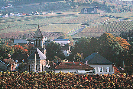 champagne-0458.jpg
