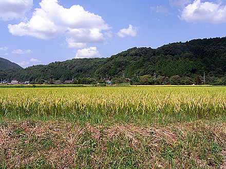 delcook-165.jpg