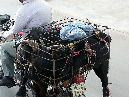 hanoi_2010-0906.jpg