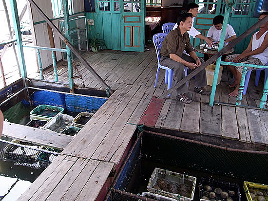 hanoi_2010-0997.jpg