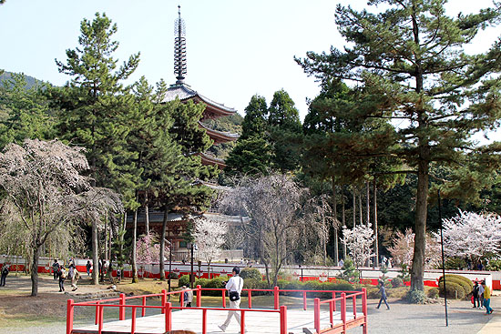kamon-231.jpg