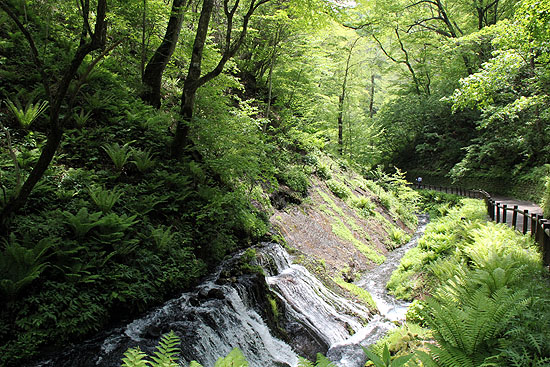 karuizawa_2012-132.jpg