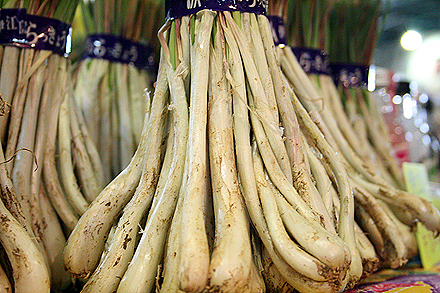 kise_bettei-039.jpg
