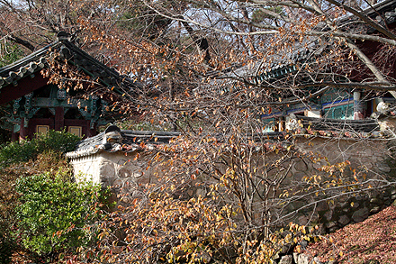 korea_2008-429.jpg