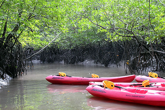 langkawi-1118.jpg