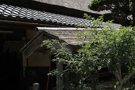 miyama925.jpg