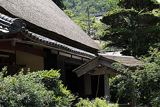 miyama929.jpg