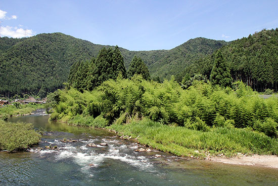 miyama938.jpg