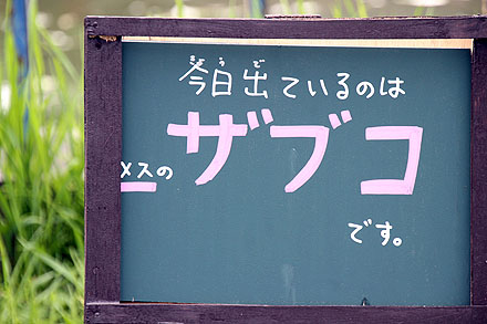 nayoro-323.jpg