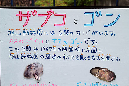 nayoro-326.jpg