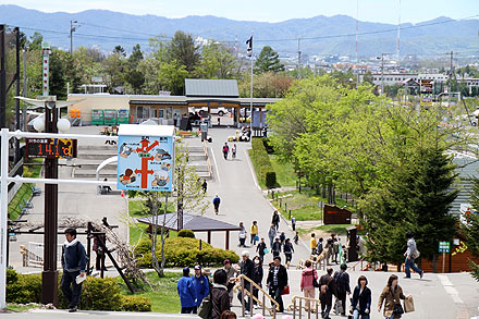 nayoro-409.jpg