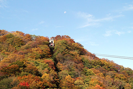 nikko-097.jpg