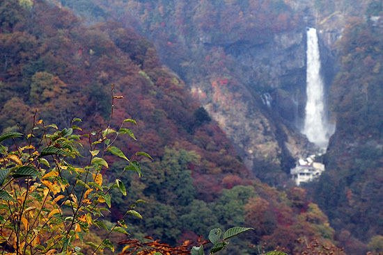 nikko-120.jpg