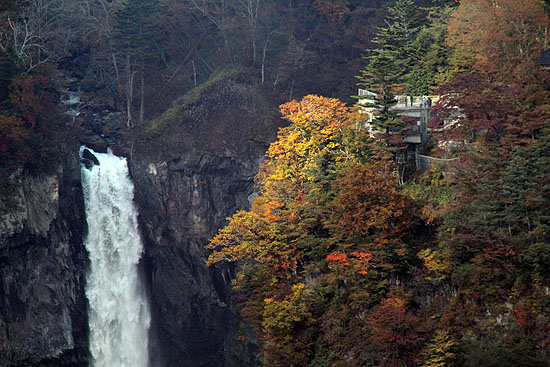 nikko-127.jpg