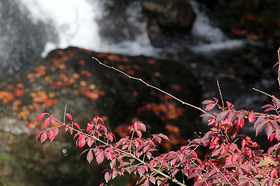 nikko-180.jpg