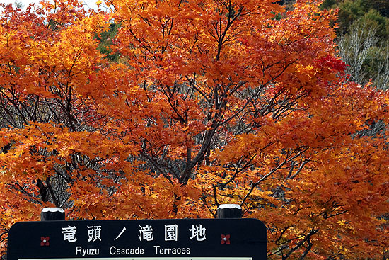 nikko-187.jpg