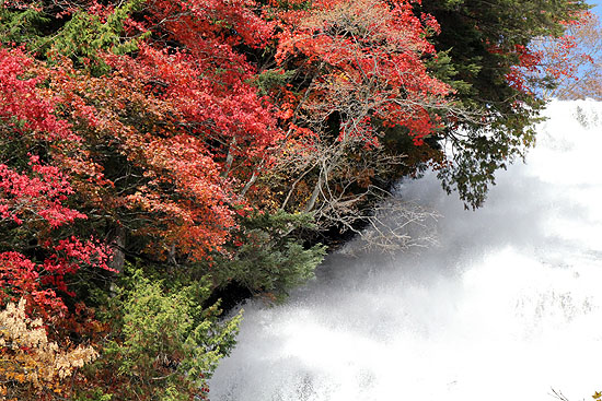 nikko-192.jpg