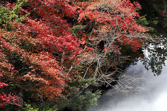 nikko-194.jpg