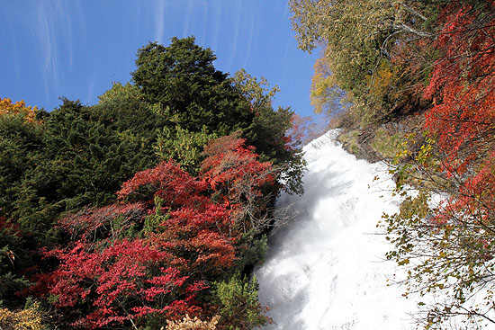 nikko-201.jpg