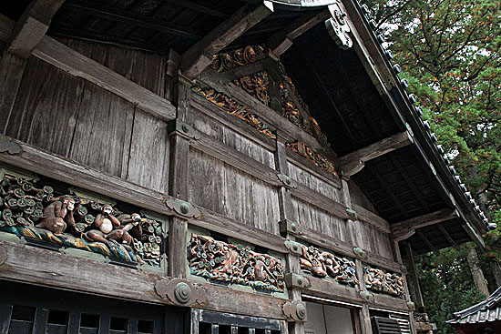 nikko-285.jpg