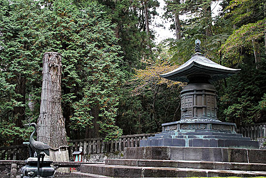 nikko-325.jpg