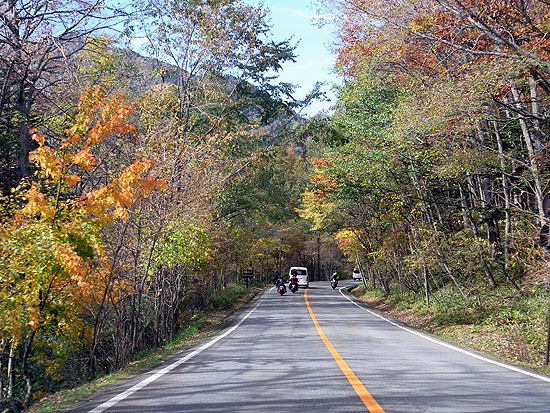 nikko-384.jpg