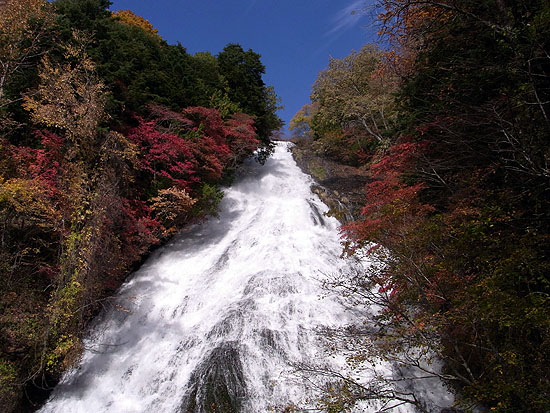 nikko-394.jpg