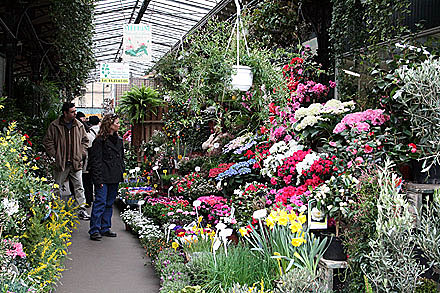 paris_sado-0777.jpg