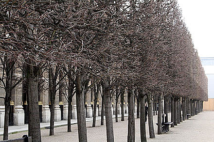 paris_sado-0883.jpg