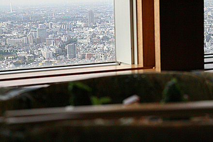 park_hyatt_tokyo-131.jpg