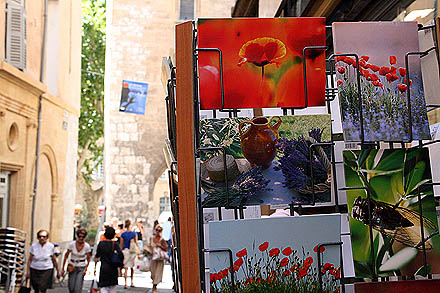 provence_1-0359.jpg