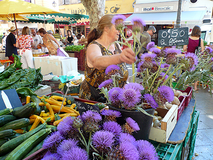 provence_1-0783.jpg