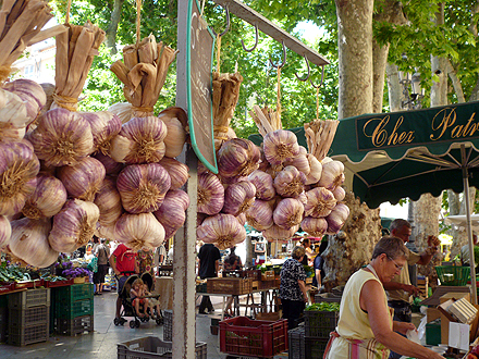 provence_1-0788.jpg