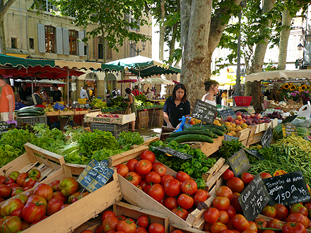 provence_1-0793.jpg