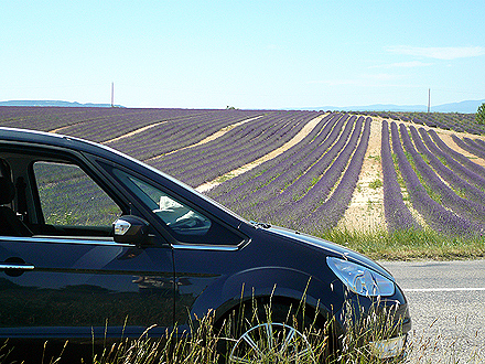 provence_1-0880.jpg