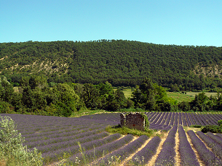 provence_1-0899.jpg