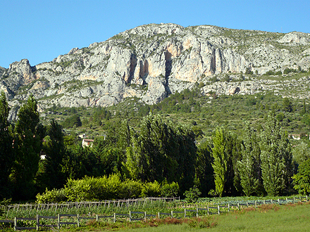 provence_1-1035.jpg