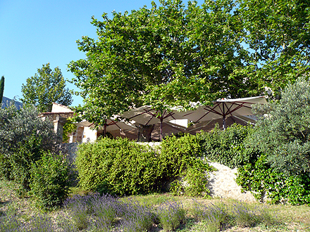 provence_1-1106.jpg