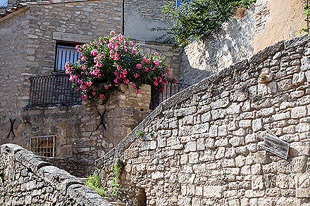 provence_2-0144.jpg