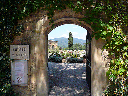 provence_2-0512.jpg