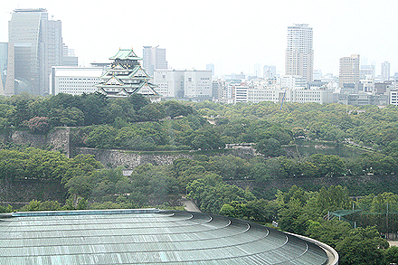 sakura_lunch-32.jpg