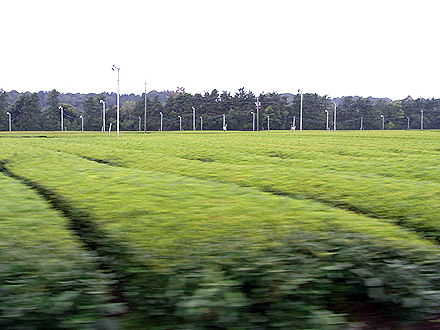 shizuoka_airport-0345.jpg